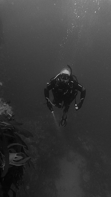 Underwater Image 3